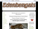 Détails : Chatterie des Edenbengals chaton bengal à toulouse