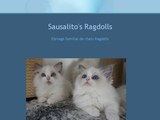 Détails : Sausalito's Ragdolls
