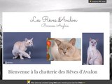 Détails : les Rêves d avalon